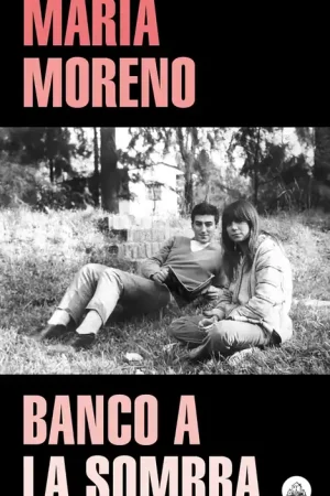 Banco a la Sombra Precio De Oferta