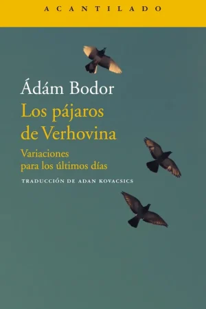 Alta Calidad Los Pájaros de Verhovina "Variaciones para los Próximos Días"