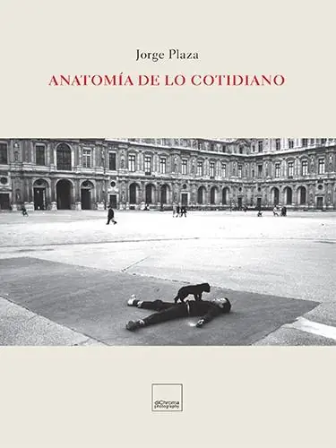 Anatomia de lo Cotidiano Marca Reconocida
